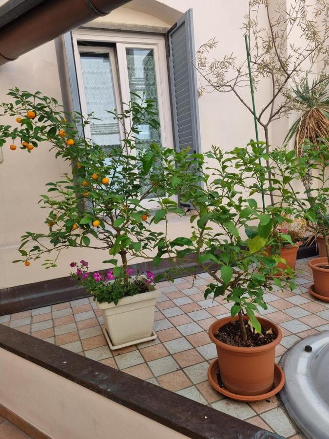 Apartments Via Roma Rovereto  Zewnętrze zdjęcie